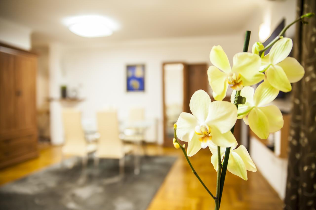 Business Class Apartment Cluj-Napoca Eksteriør bilde